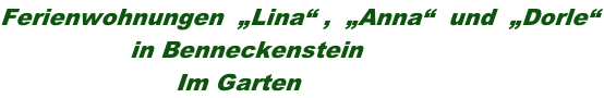 Ferienwohnungen  „Lina“ ,  „Anna“  und  „Dorle“                  in Benneckenstein                        Im Garten