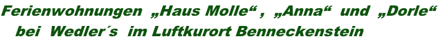 Ferienwohnungen  „Haus Molle“ ,  „Anna“  und  „Dorle“    bei  Wedler´s  im Luftkurort Benneckenstein