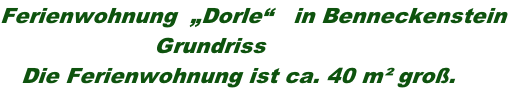 Ferienwohnung  „Dorle“   in Benneckenstein                       Grundriss    Die Ferienwohnung ist ca. 40 m² groß.