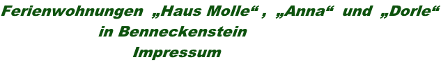 Ferienwohnungen  „Haus Molle“ ,  „Anna“  und  „Dorle“                     in Benneckenstein                            Impressum