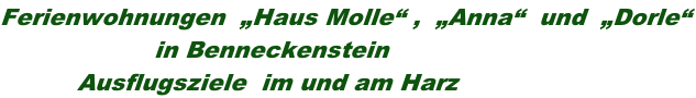 Ferienwohnungen  „Haus Molle“ ,  „Anna“  und  „Dorle“                     in Benneckenstein           Ausflugsziele  im und am Harz